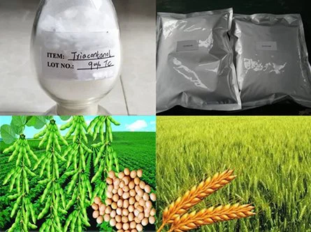 Natural fertilizer additives triacontanol price