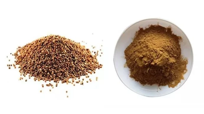 Semen cuscutae extract price