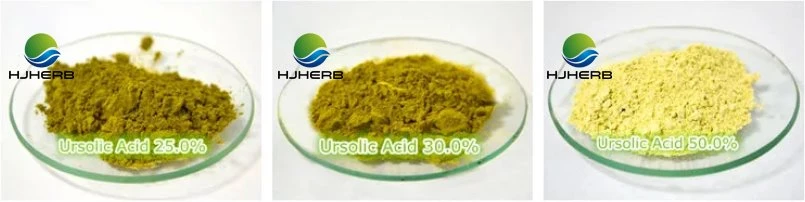 Rosemary Extract Rosemary Extract