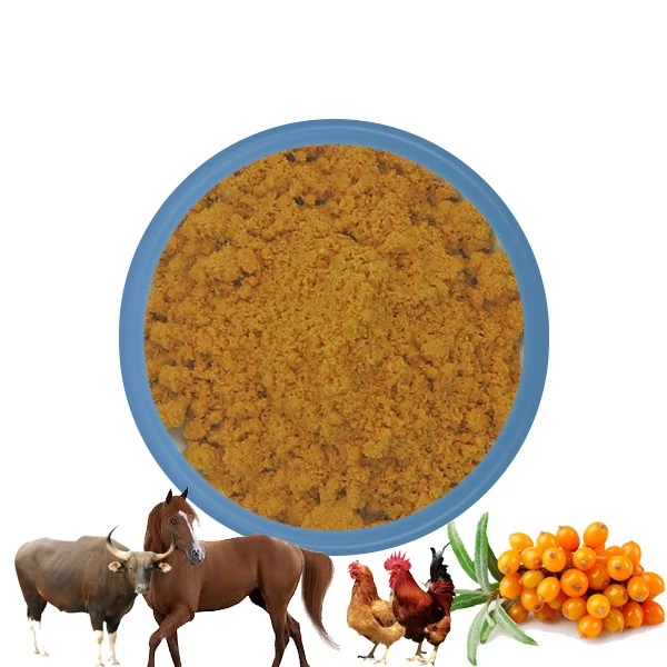 Buy sea buckthorn powder Buy sea buckthorn powder