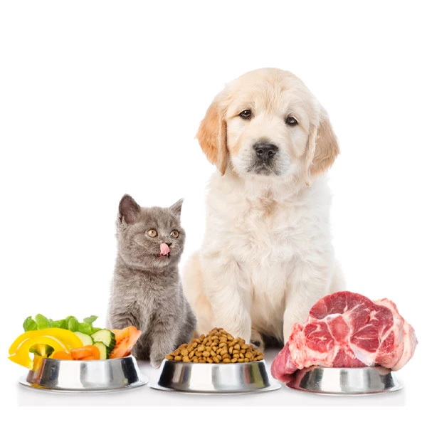 Dogs-and-cats-are-what-they-eat-too-01 Dogs-and-cats-are-what-they-eat-too-01