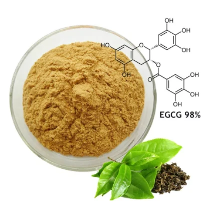 Bulk green tea extract powder supplier Bulk green tea extract powder supplier