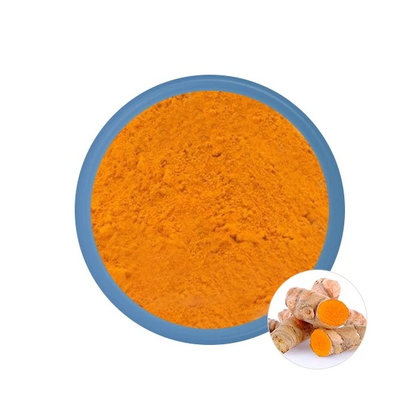 Екстракт Curcuma Longa 95