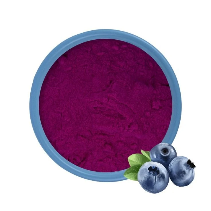 Blueberry Powder Bulk Price manufacturer Blueberry Powder Bulk Price manufacturer